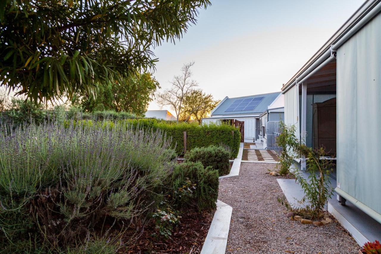 Karoo Masterclass - Accommodation Prince Albert Exterior foto